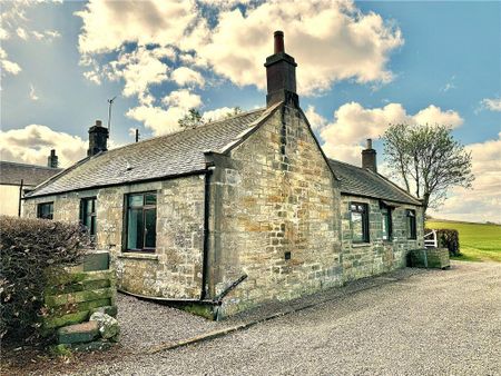 3 bedroom bungalow to rent - Photo 3