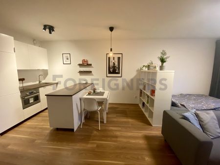 Apartment for rent, 1+KK - Studio, 43m - Fotografie 4