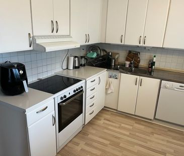 Oxens gata, Brandbergen - Foto 6