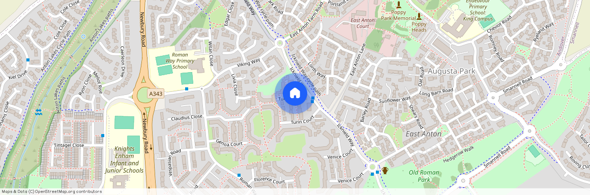 Turin Court, Andover, SP10