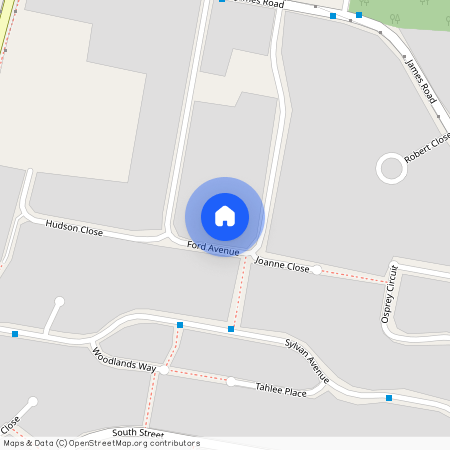 19 Ford Avenue, NSW 2318, Medowie