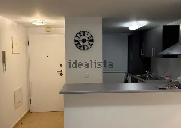 Alquiler de piso en Avenida Alcalde Pedro Roca Vera