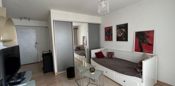 Location Appartement 1 pièce 30m² ANNEMASSE 74100 - Photo 2