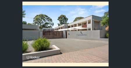 Stunning and Cosy Apartment in the Heart of Glenside - Photo 2