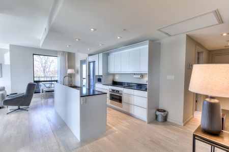 Condo for rent, Montréal (Le Sud-Ouest) - Photo 4