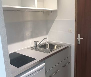 Location Appartement 1 pièce 19m² ST MARTIN D HERES 38400 - Photo 1