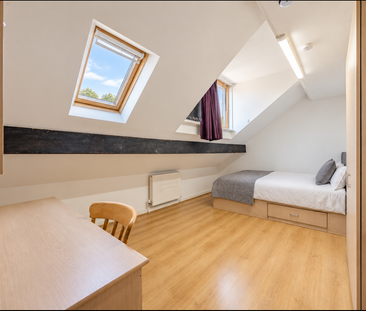 7 bedroom student house - Photo 6