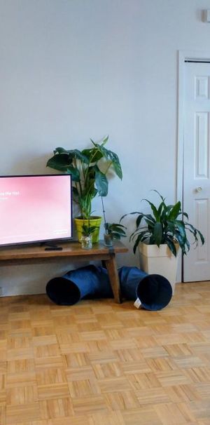 Logement 3 1/2 à Rivière-Rouge - Photo 1