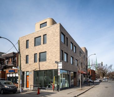 Condo for rent, Montréal (Rosemont/La Petite-Patrie) - Photo 6
