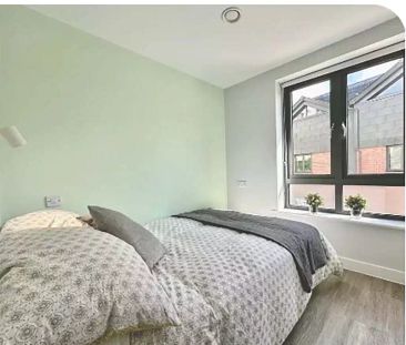 Premium Apartment - Photo 3