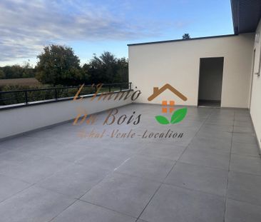Location Appartement 3 pièces 69m² ROUSSILLON 38150 - Photo 5