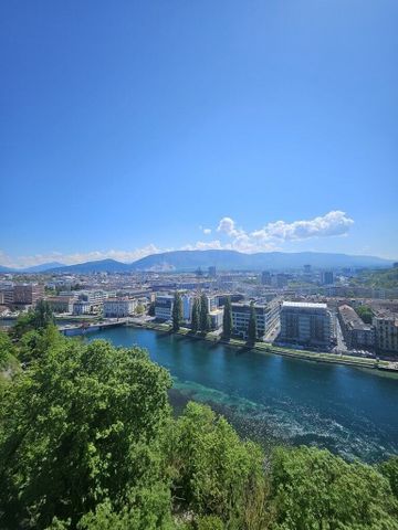 Splendide appartement en attique à Genève ! - Photo 4
