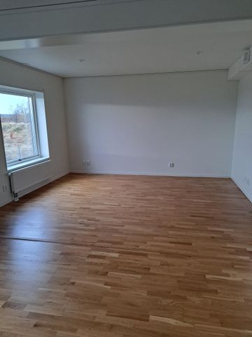 Södergatan 20 - Foto 4