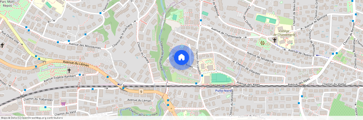 1009, Pully, Avenue Des Roses
