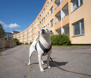 Runebergsgatan, Nyköping - Foto 2