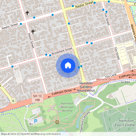 19 Galloway Street, Hamilton East