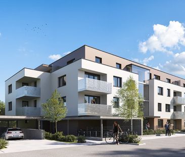 SCHEIBBS XXIII/1 - Foto 5