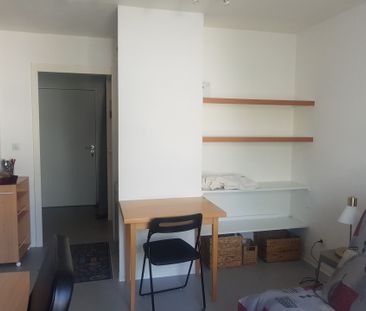 Location Appartement 1 pièce 20m² MULHOUSE 68100 - Photo 5