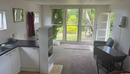 Downstairs Flat - Photo 4