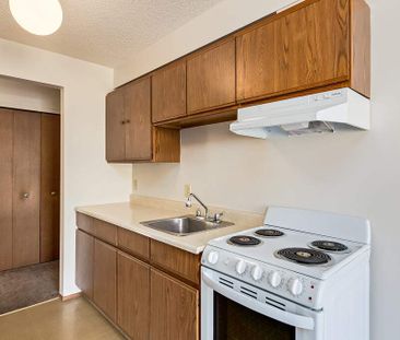Renovated Suite - 1 Bedroom - Photo 5