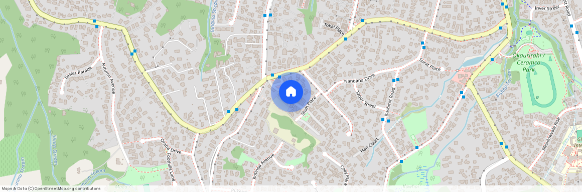 11 Shah Place, Glen Eden, Waitakere City