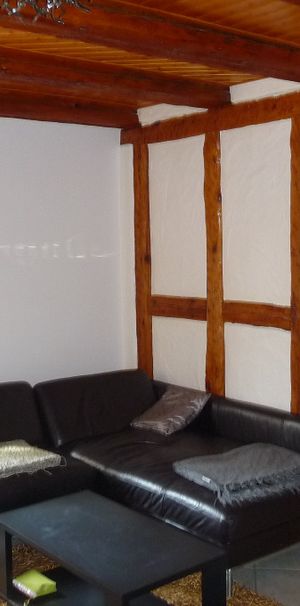 SAINTE-CROIX-EN-PLAINE - APPARTEMENT 2 Pièces - Photo 1