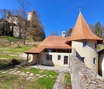Une vie de château à Lucens - Photo 4
