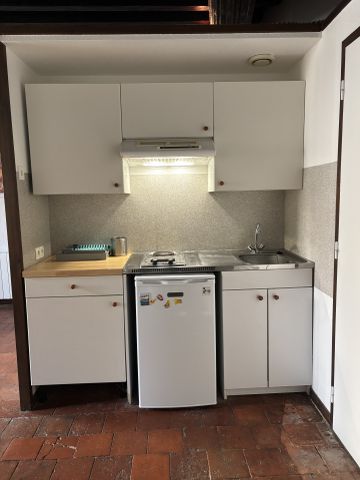 Location Appartement 1 pièce 33m² CHARLIEU 42190 - Photo 5