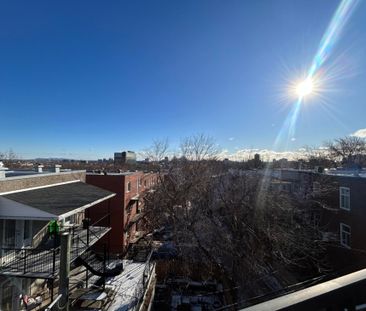 Appartement à louer - Montréal (Le Plateau-Mont-Royal) (Le Plateau-... - Photo 3