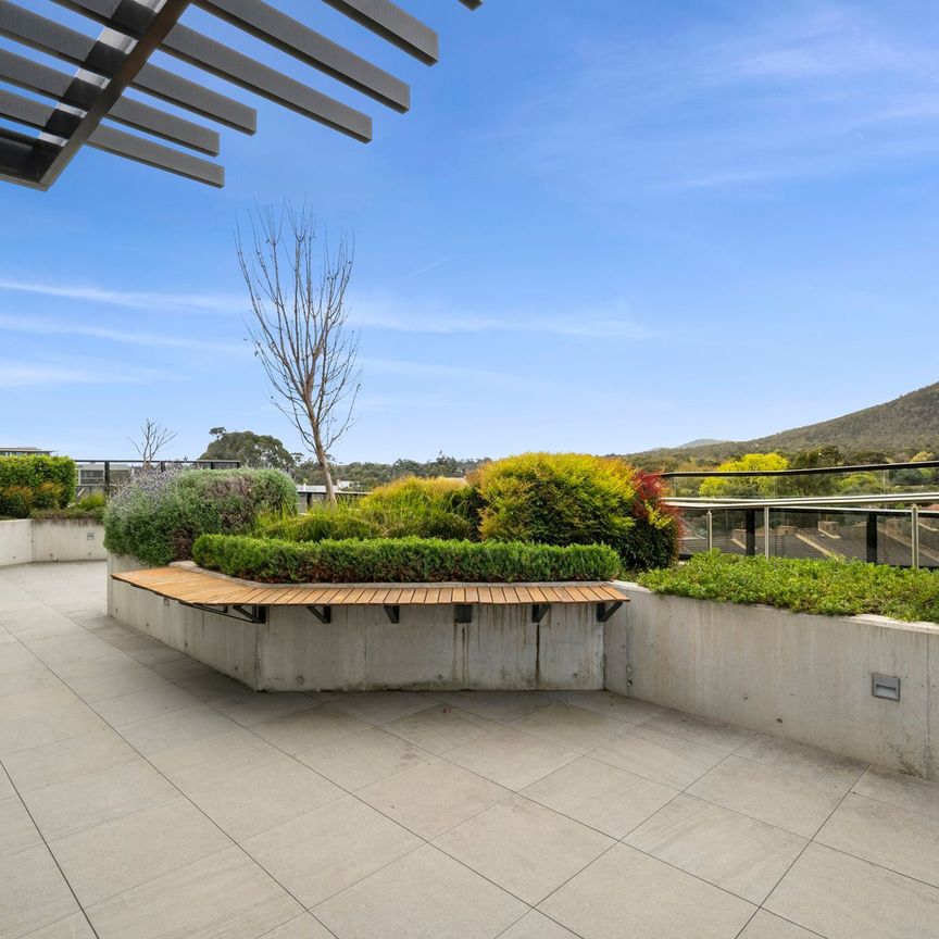 108/83 Cooyong Street, Reid ACT 2612 - Apartment For Rent | Domain - Photo 1