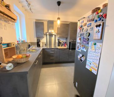 Arbre St-Pierre 3B1, 7890 Ellezelles - Foto 4