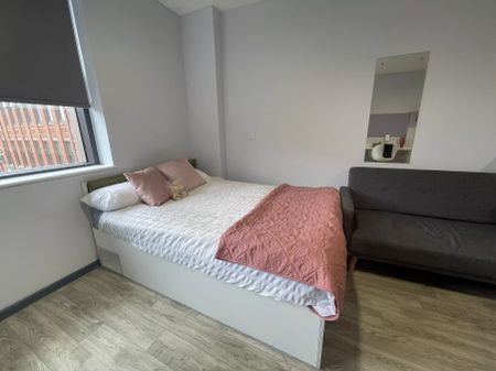 Platinum Accessible Studio - Photo 4