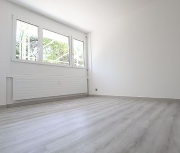 Moderno appartamento di 3.5 locali appena ristrutturato a Coldrerio - Foto 4