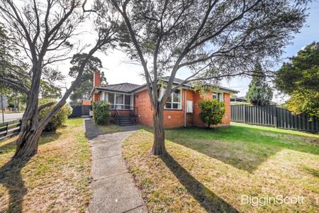 Stylish Family Home in the Heart of Glen Waverley School Zone - Photo 4