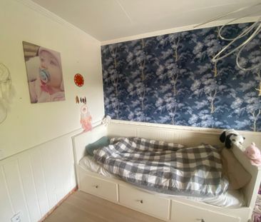 Palanders väg, Vega - Foto 6