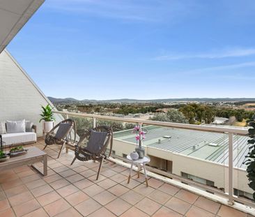 12/27 Leahy Close, Narrabundah ACT 2604 - Apartment For Rent | Domain - Photo 6