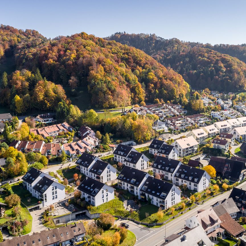 Idyllisch leben in der Nähe vom Uetliberg - Photo 1