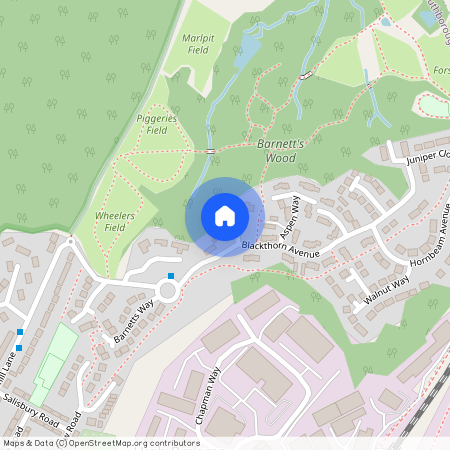 Blackthorne Avenue, Tunbridge Wells