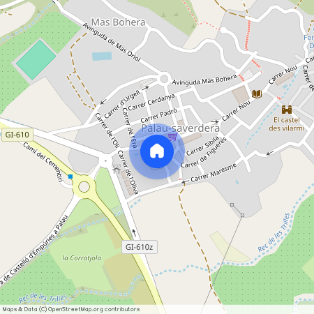 17495, Palau-saverdera