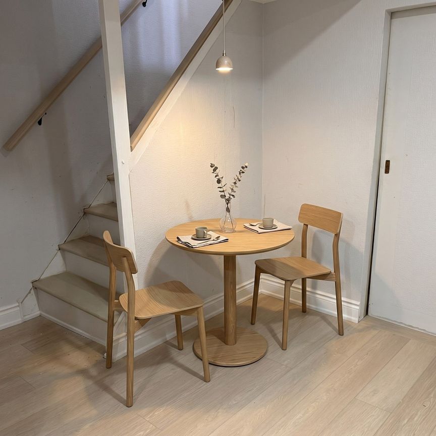 For Lease - 60 Toby Crescent Unit# Lower, Hamilton, Ontario - Photo 1