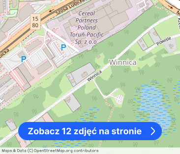 Toruńskie Powiśle, wysoki standard, z garażem - Zdjęcie 1