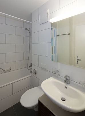 Habiter sur le Rhin - Photo 1