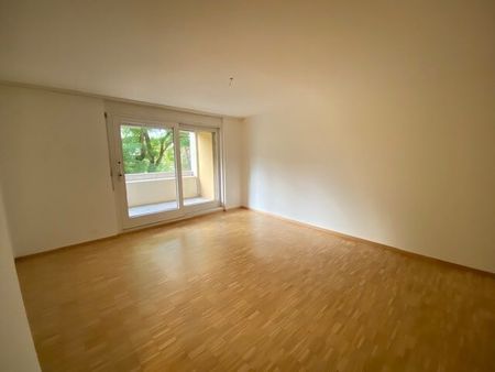 2.5 Zimmer, 56 m², 2. Stock - Photo 2