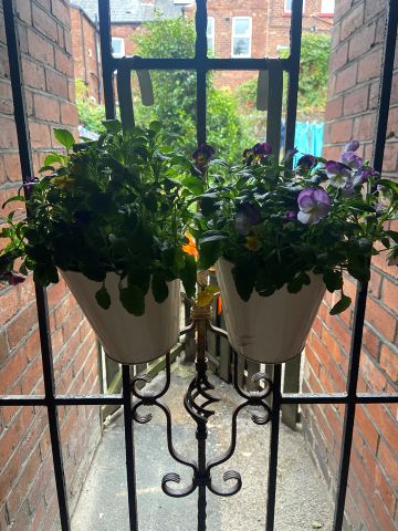 5 Bed Terraced House, Newington Road, S11 - Photo 5