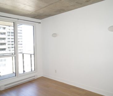 235 Rue Peel, Montréal (Le Sud-Ouest), QC H3C - Photo 5