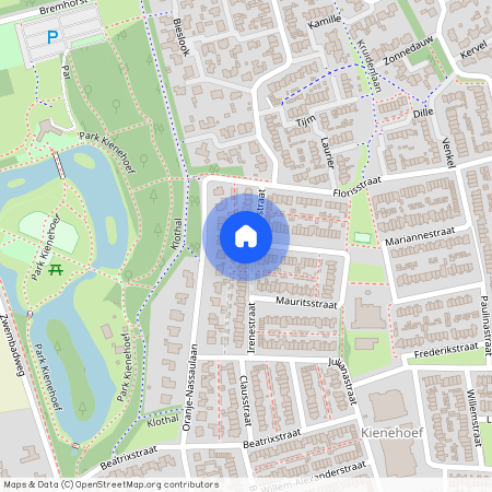 Irenestraat 39, Kienehoef Zuid, 5491KC, Sint-Oedenrode