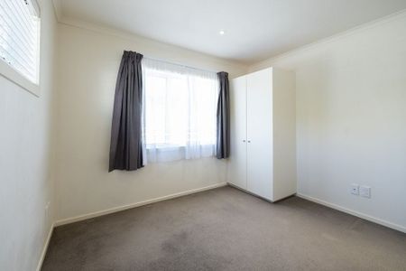 All Day Sun, Modern, Low Maintenance - Photo 5