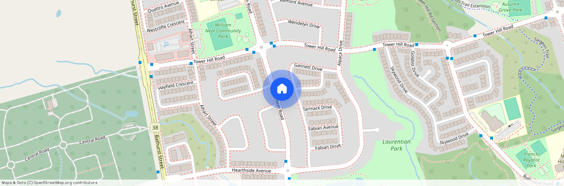 193 Selwyn Road Unit# Basement, Richmond Hill