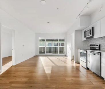 Galt Street Flats — 2 Bedroom 1 Bathroom - Photo 2