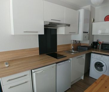 Location Appartement 1 pièce 31m² LILLE 59000 - Photo 2